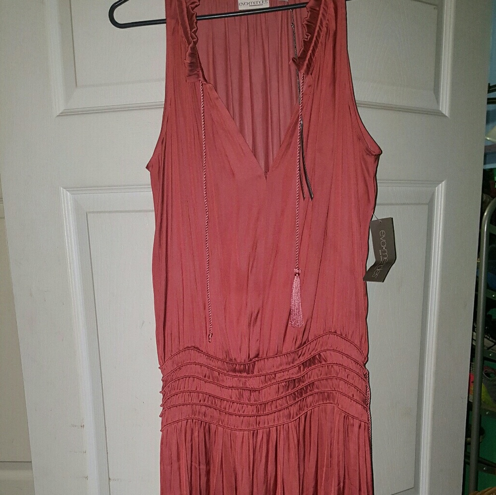 Eva Mendez dress